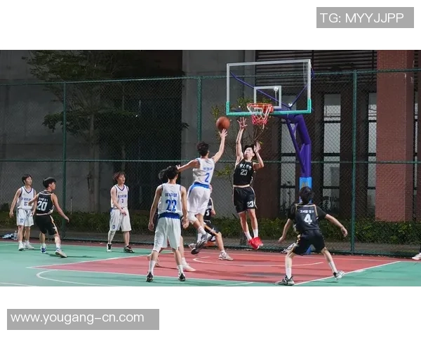 深圳篮球队比赛经验变革引发热议探索新战术与团队协作的未来发展